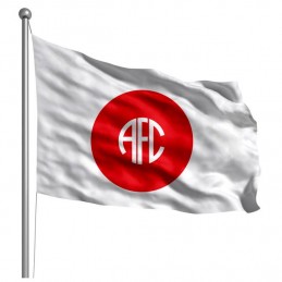1908: Bandeira sugerida por Belford Duarte e inspirada na bandeira japonesa.